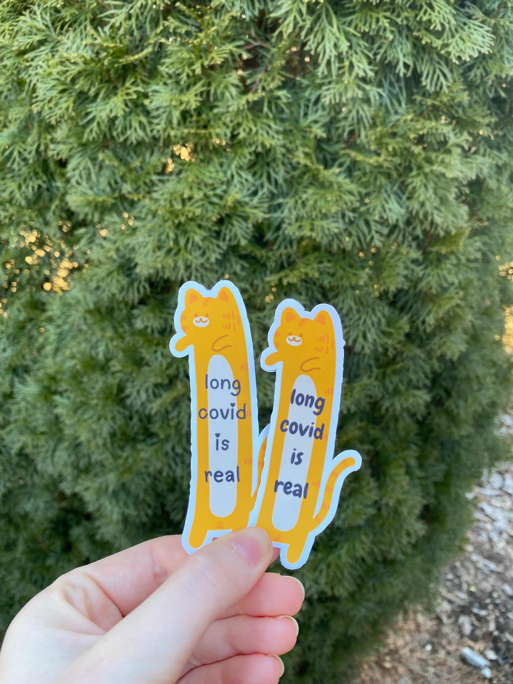 Long Covid Is Real Cat Stickers